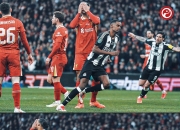 lovegame sports-关于国王杯倒计时，纽卡斯尔转会期豪取连胜，细节引发关注，态度坚定，轮换策略成焦点的信息-lovegame sports